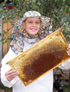 Начинающий пчеловод